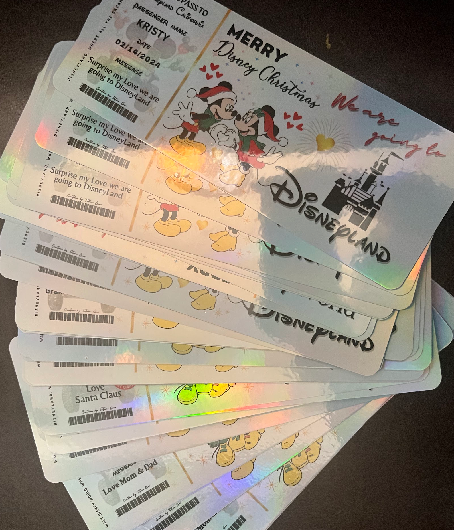 Physical Holographic Disneyworld or Disneyland π Surprise Ticket Trip Reveal