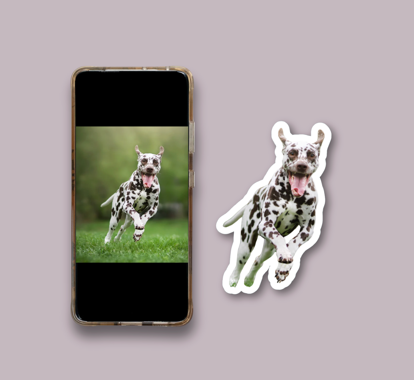 Custom Shaped Photo Magnets – Turn Memories into Art ✨