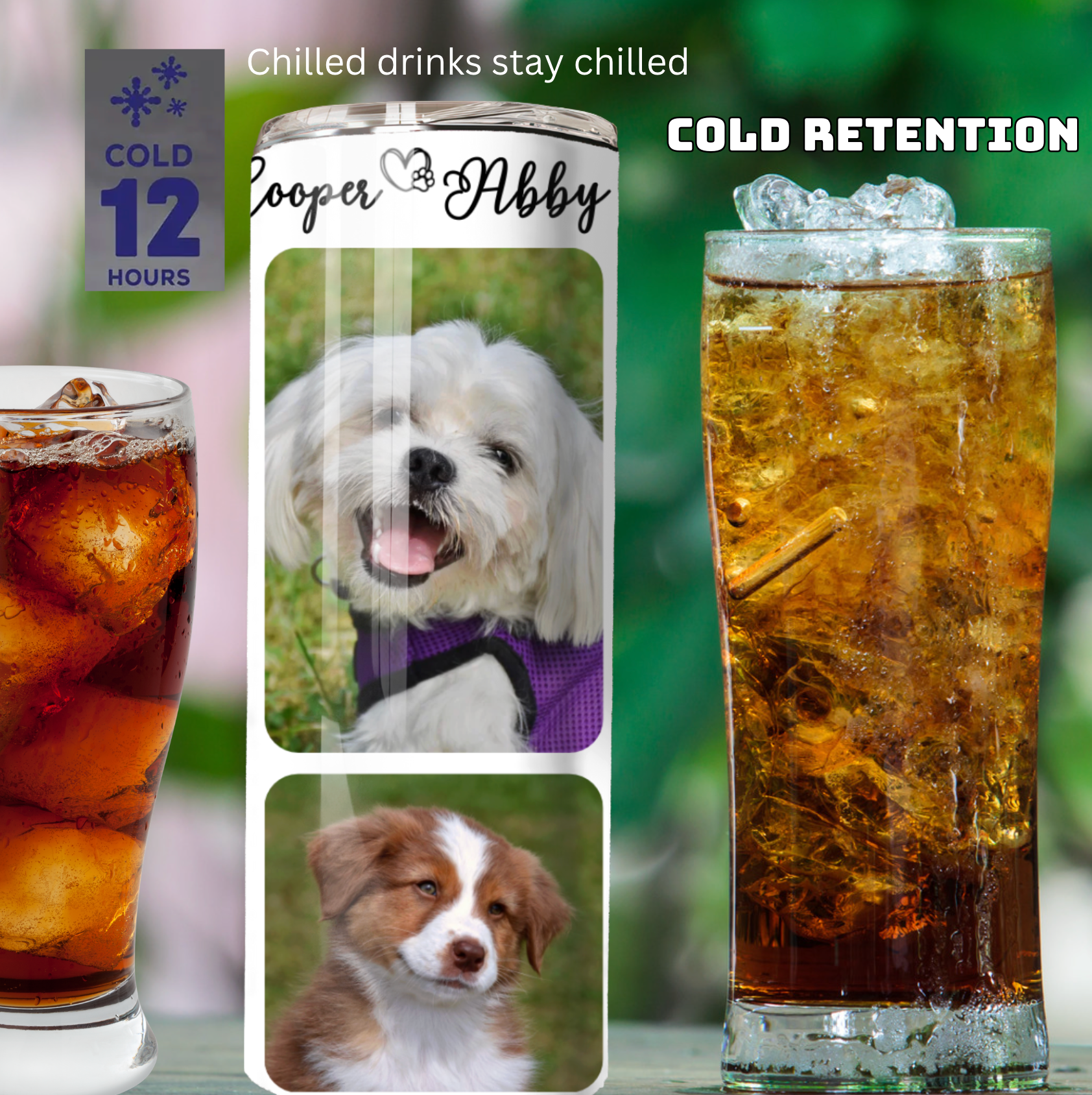 6 Collage Picture Tumbler β Best Gift Ever! π